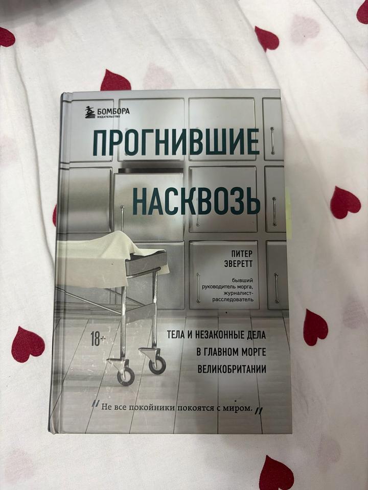 Прогнившие насквозь