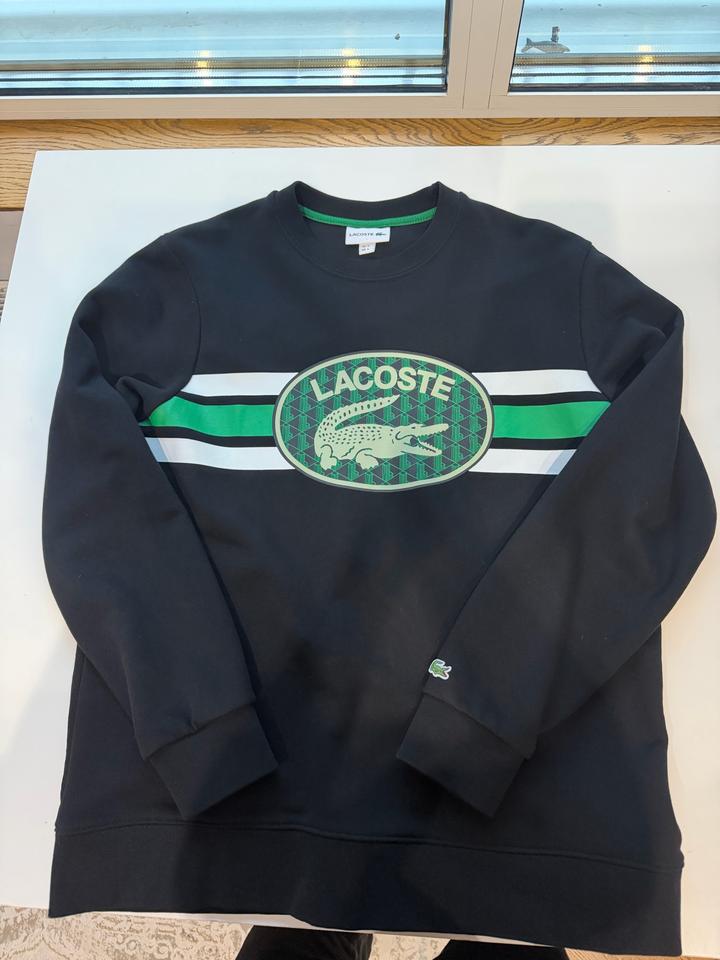 Свитшот Lacoste