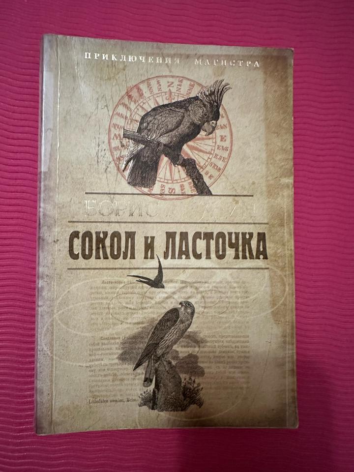 Сокол и ласточка