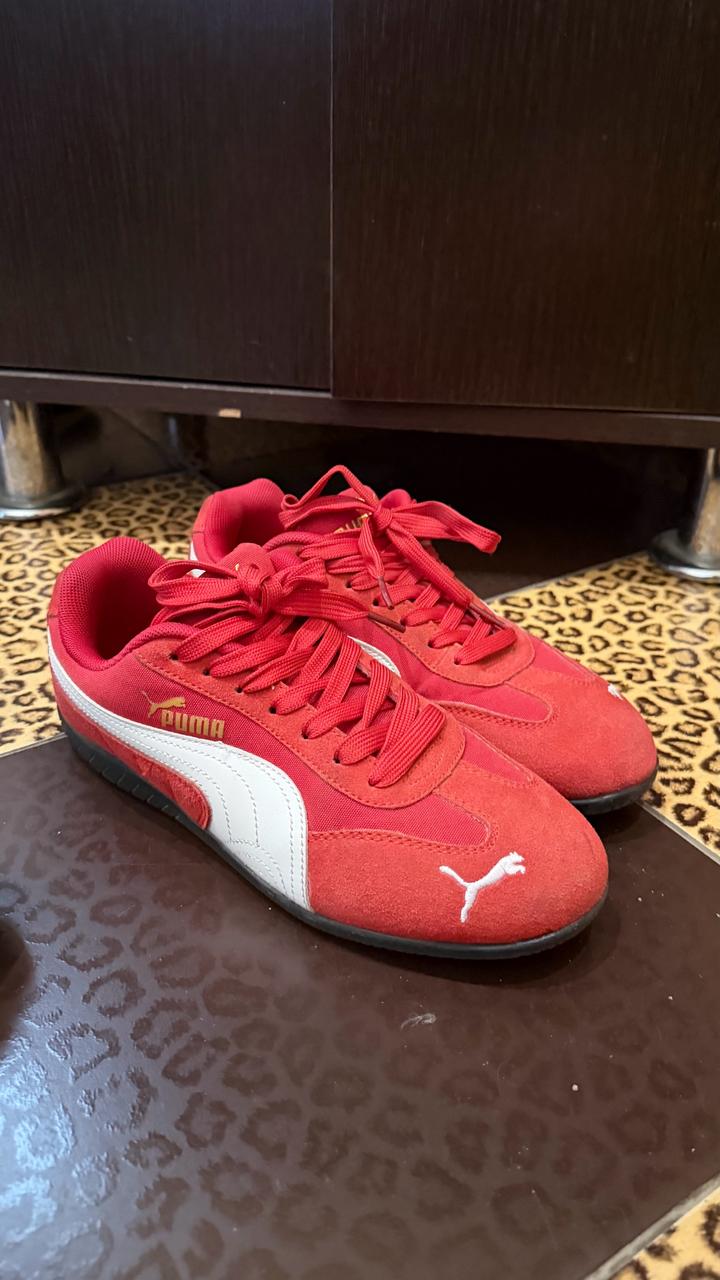 Puma
