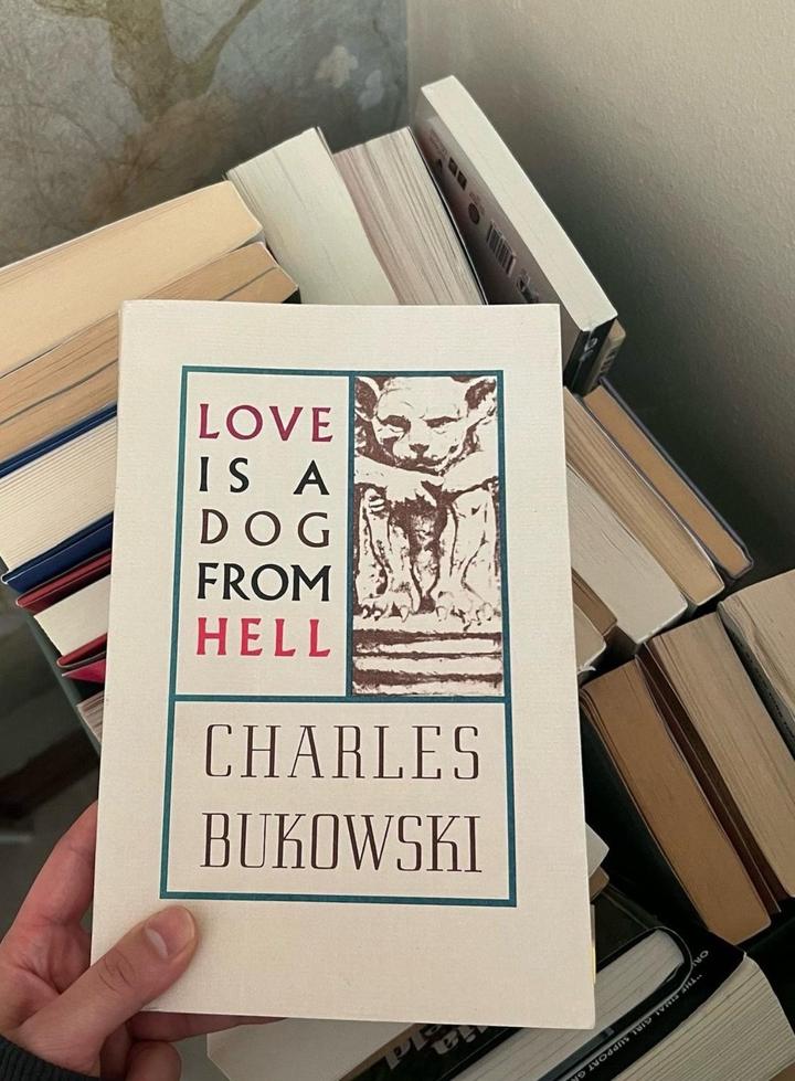 “Love Is a Dog from Hell” книга на английском
