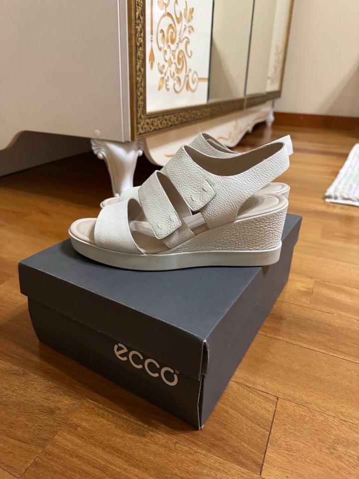 ECCO