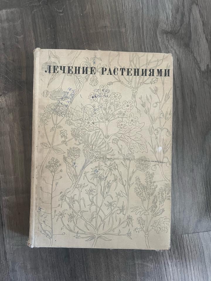 Лечение растениями