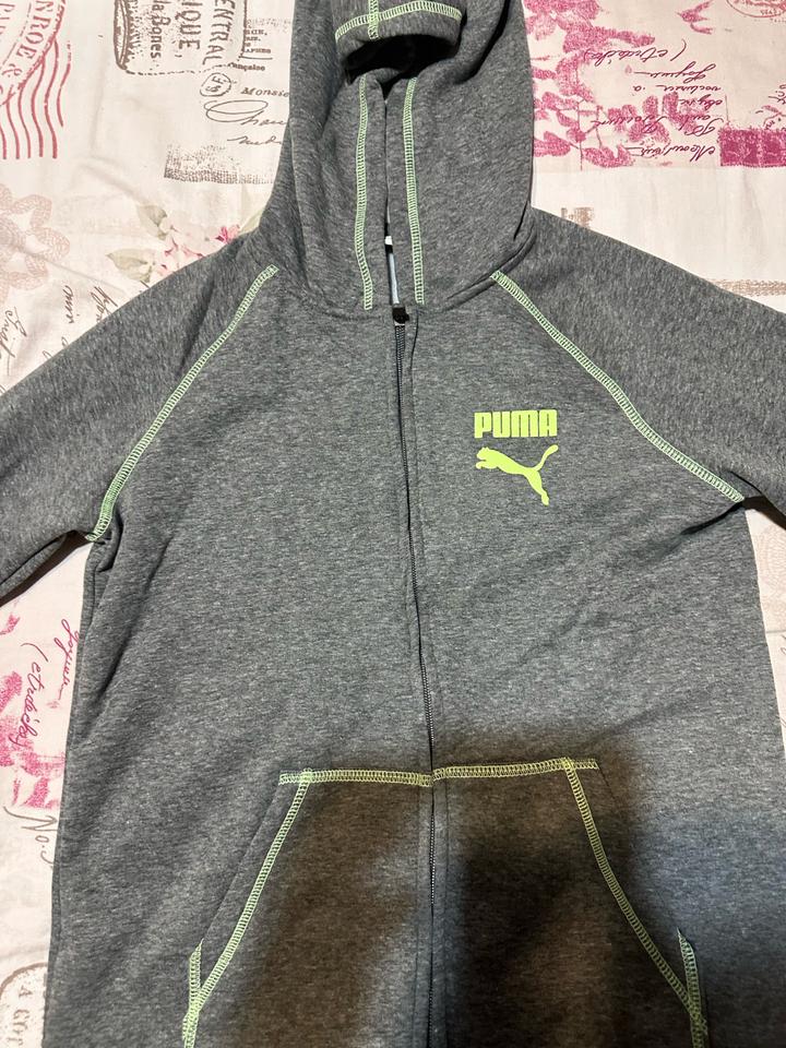 Puma