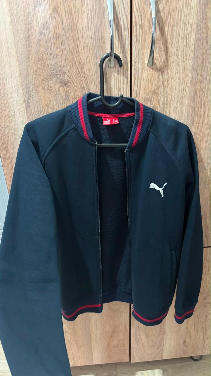 Puma