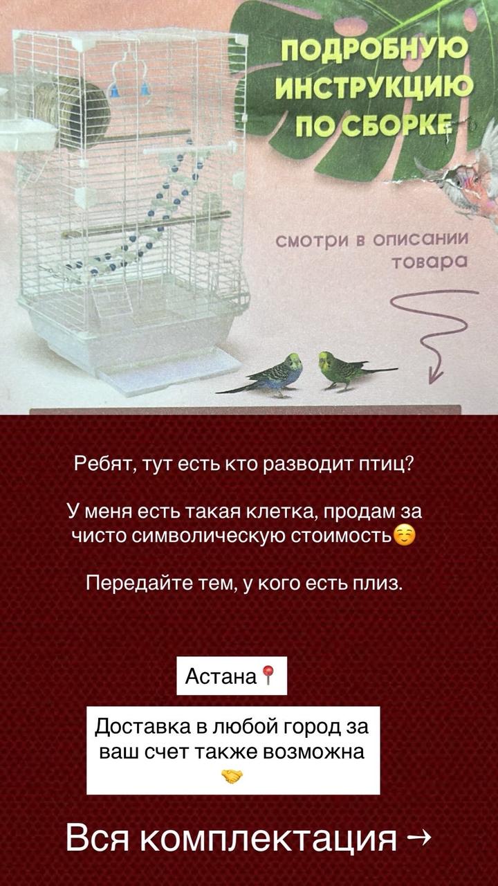 Нет бренда