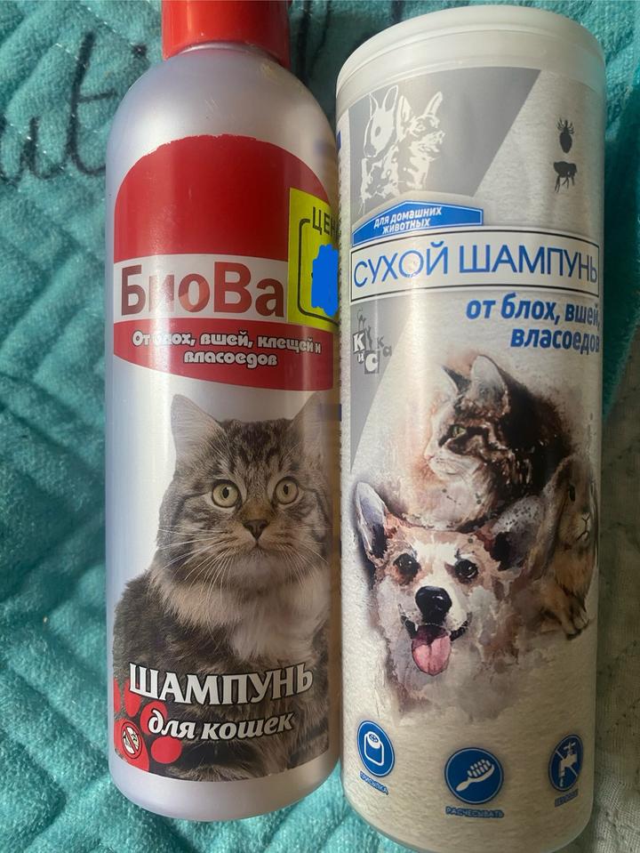 Нет бренда