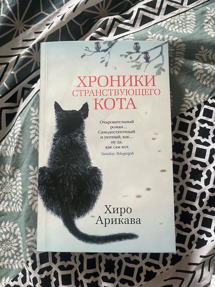 Хроники странствующего кота