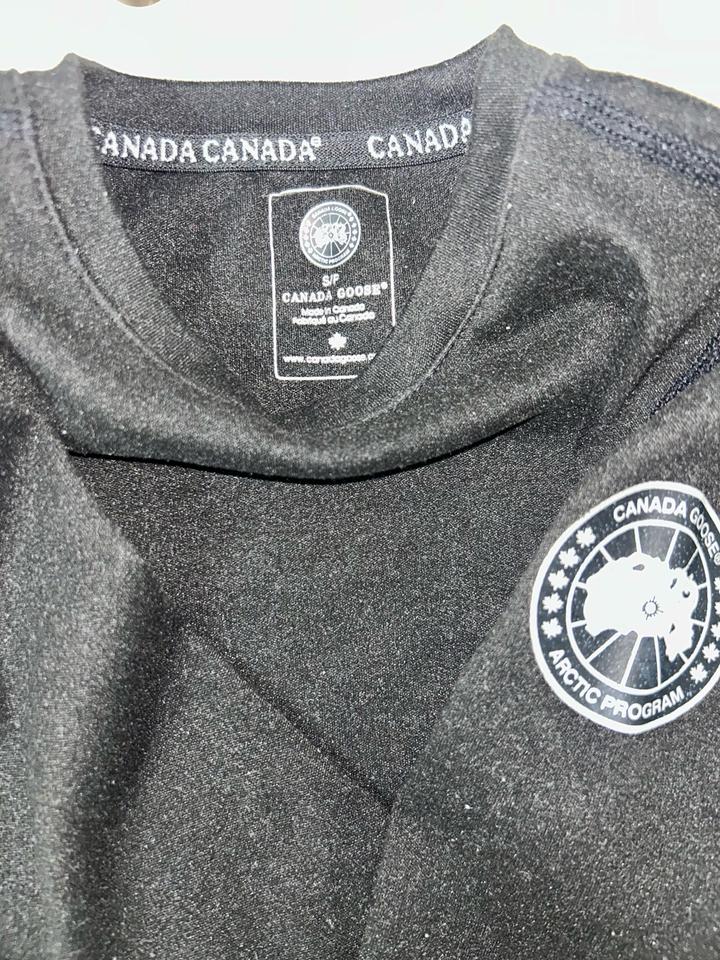 Canada Goose