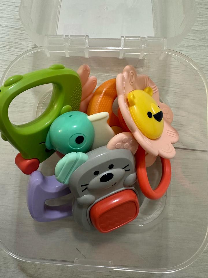 Набор прорезывателей Hola Forest Baby Teether