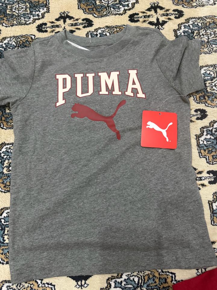 Puma