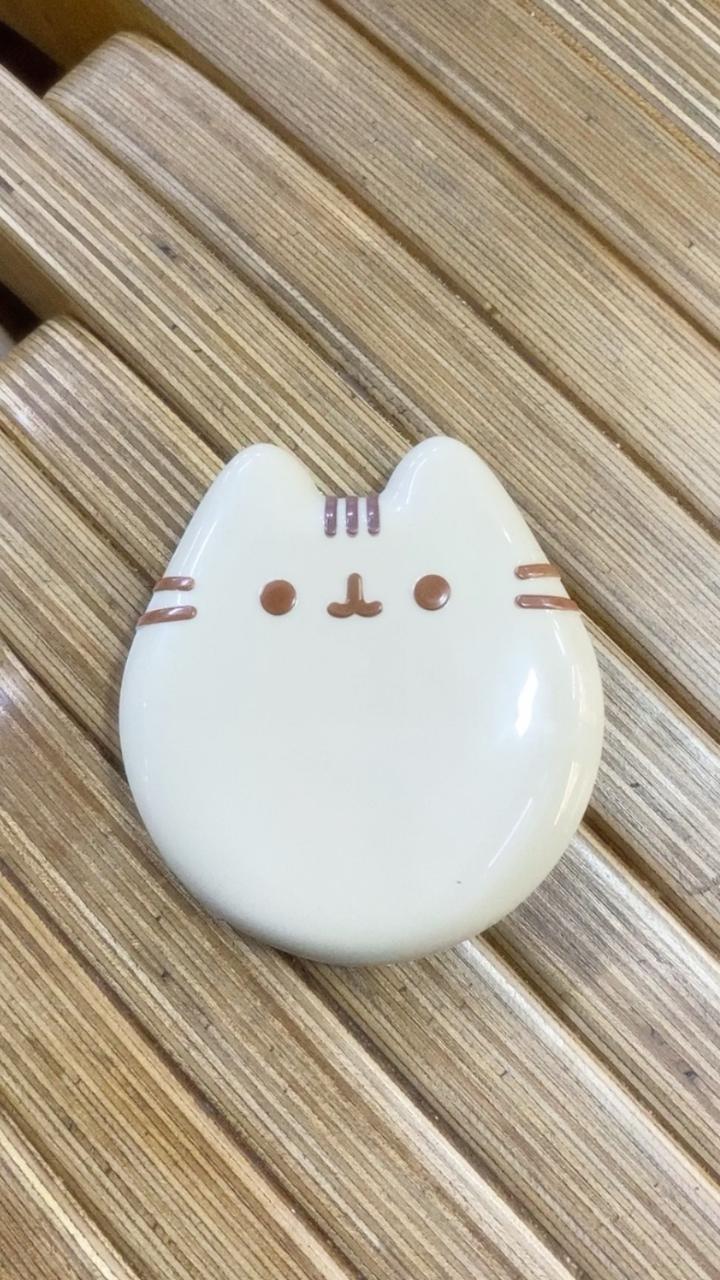 Pusheen