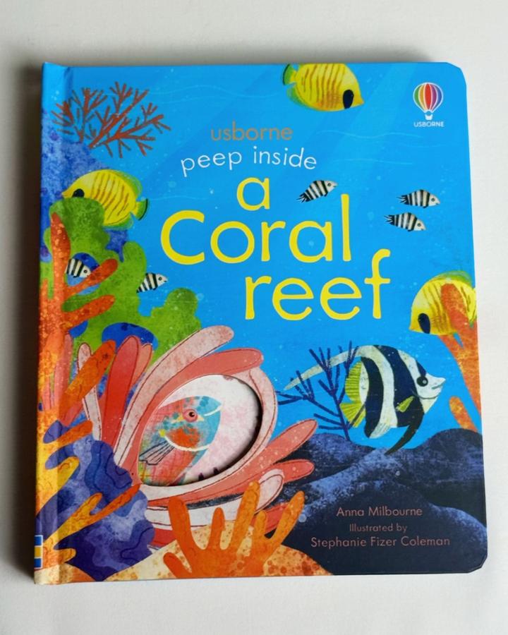 Peep Inside a Coral Reef