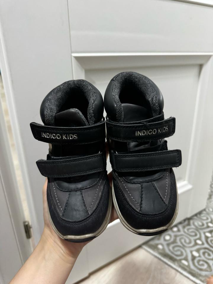 Indigo Kids