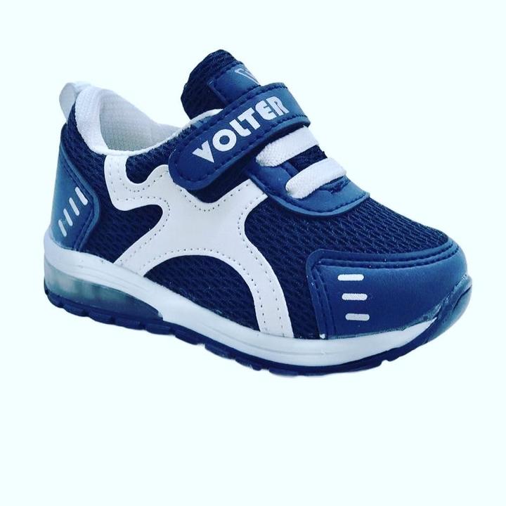 Volter