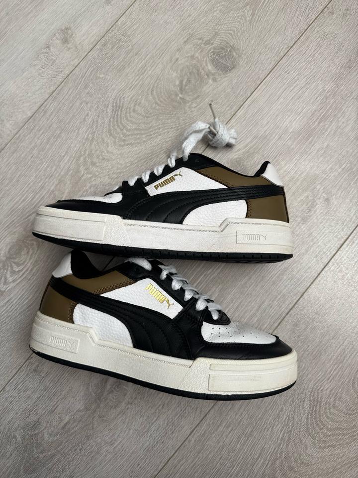 Puma
