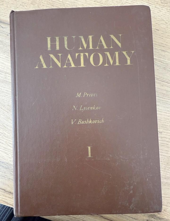 Human Anatomy