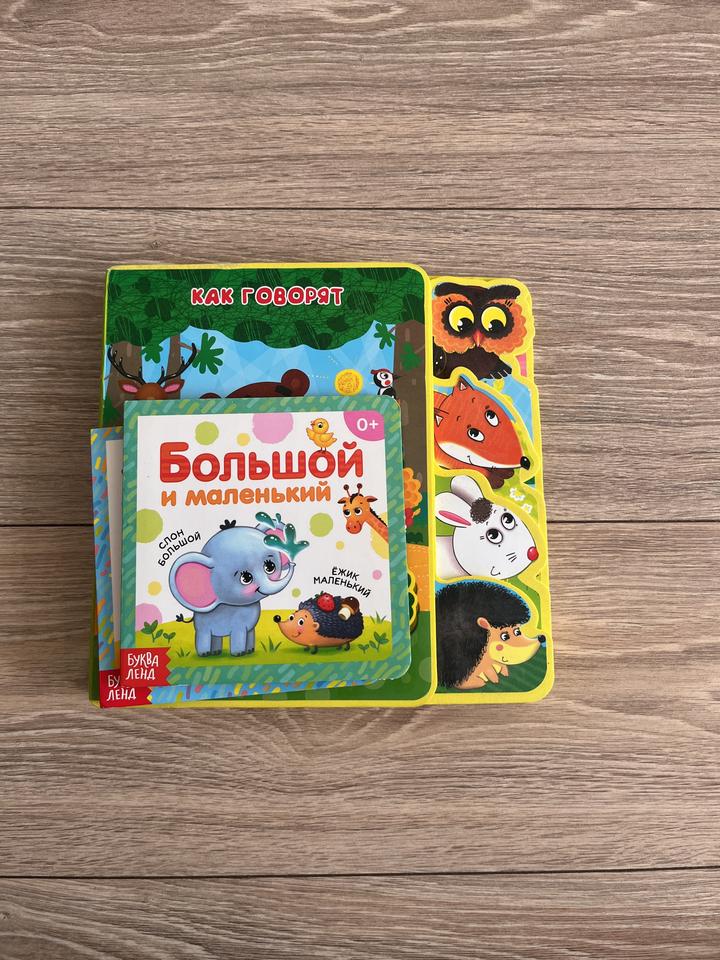 Книги: Как говорят животные в нашем лесу, Большой и Маленький, Цифры