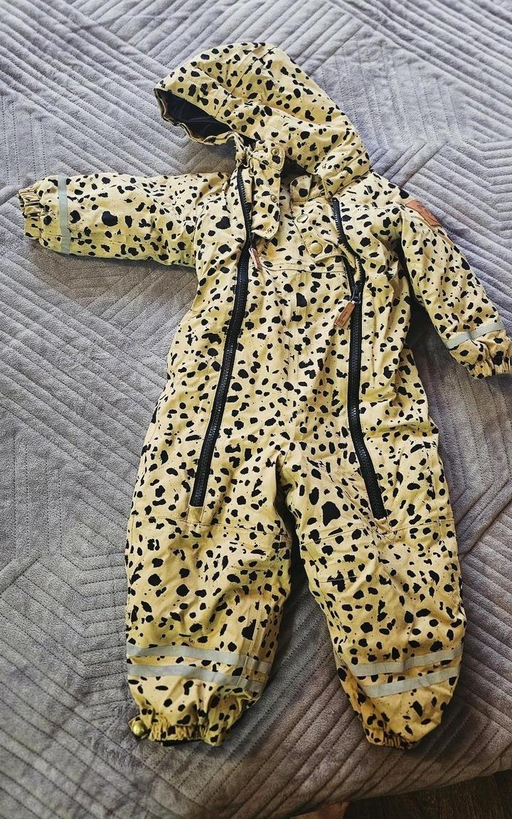Mini rodini