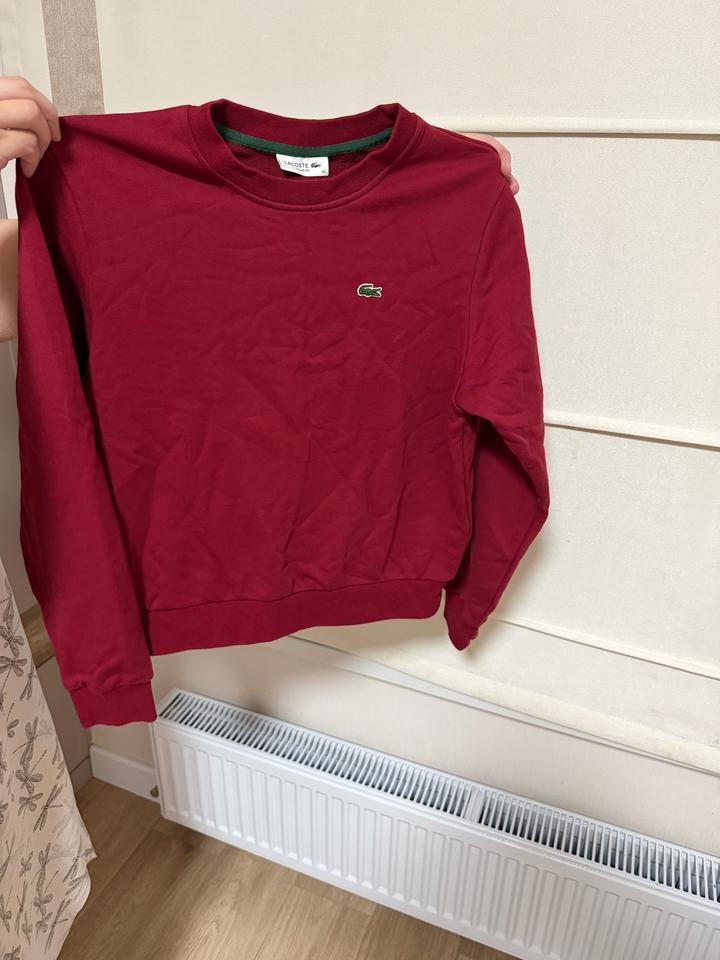 Свитшот Lacoste