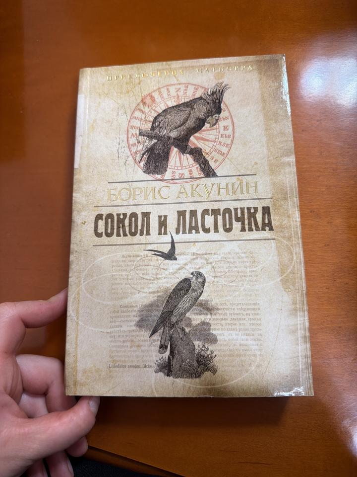 Сокол и ласточка