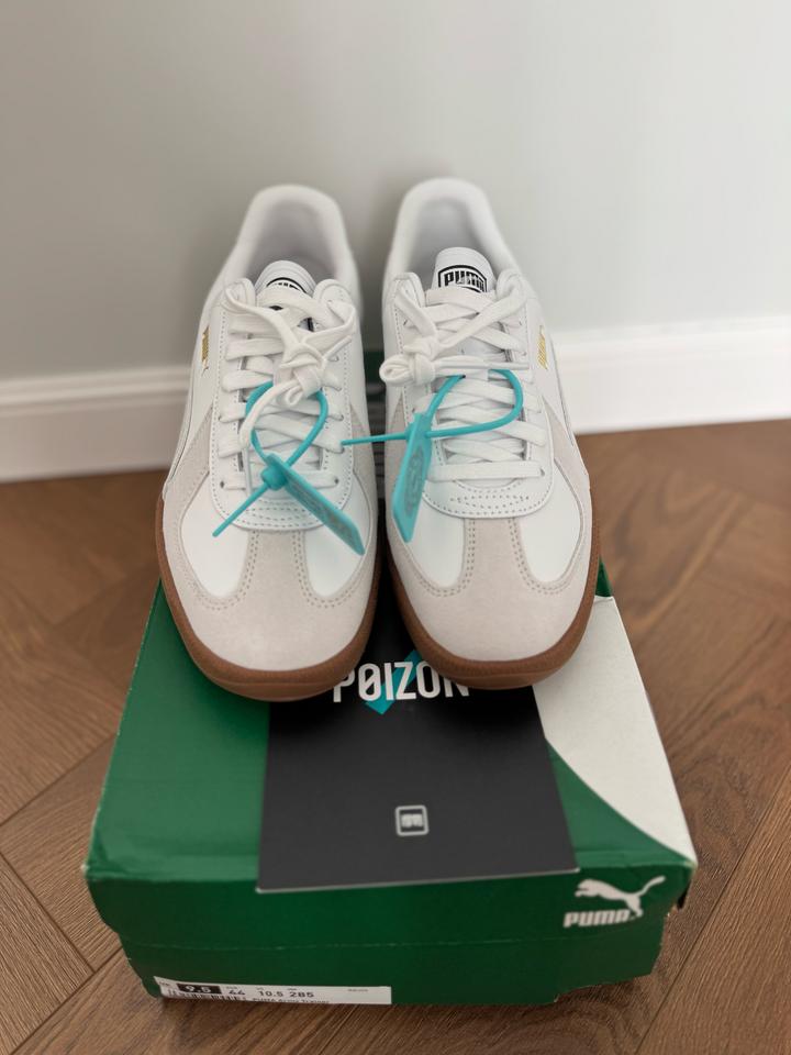 Puma