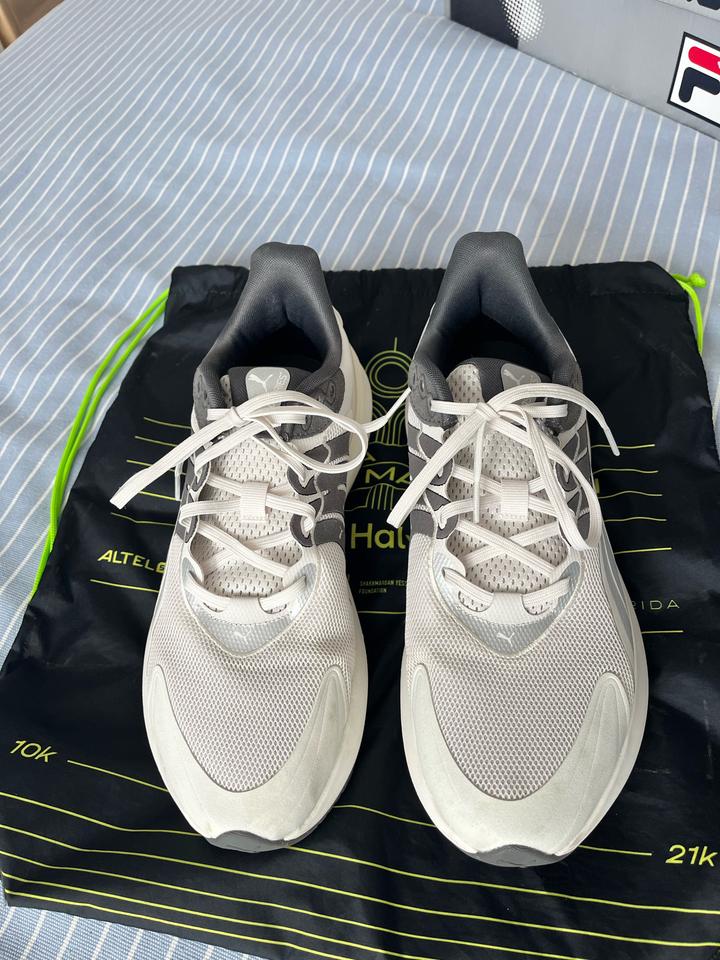 Puma