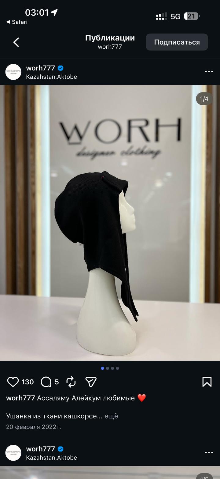 Ушанка от Worh