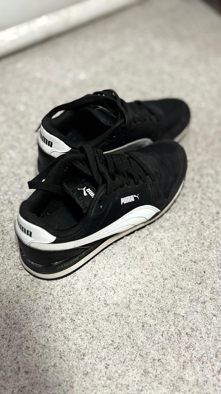 Puma