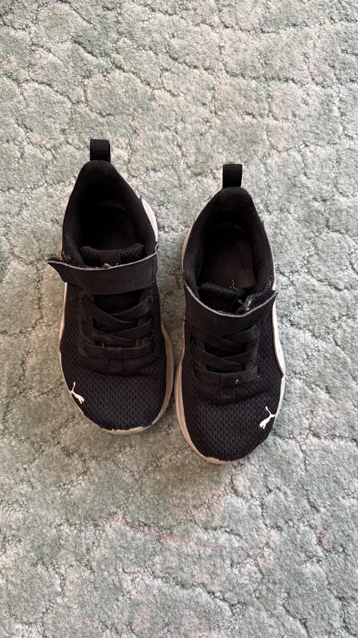 Puma