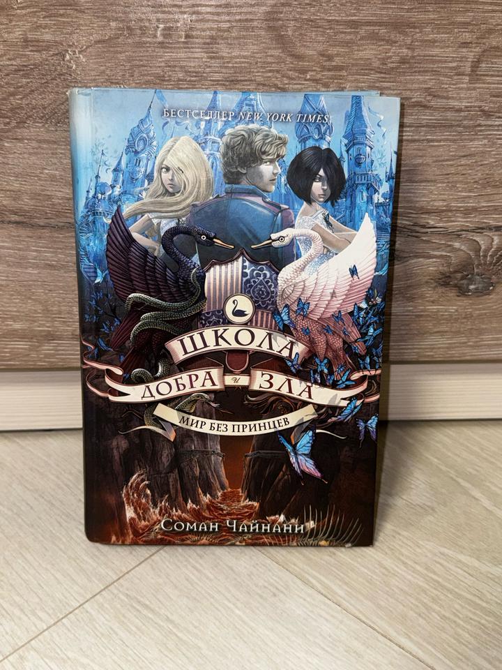 Книга: Школа добра и зла. Мир без принцев