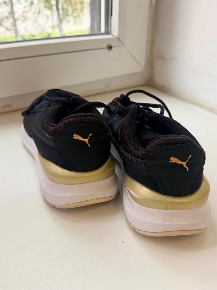 Puma