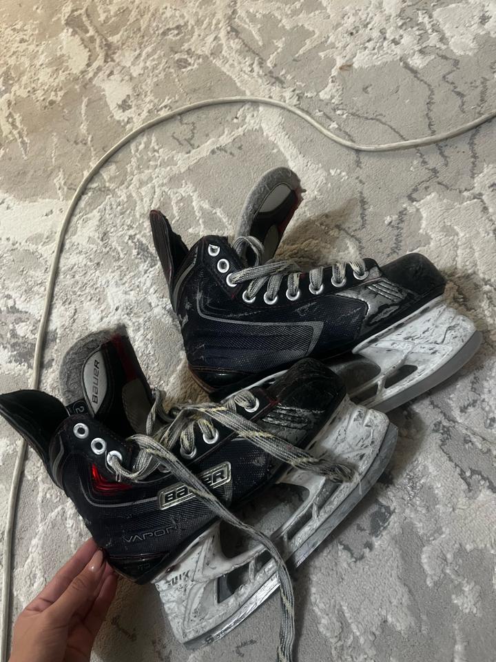 Bauer