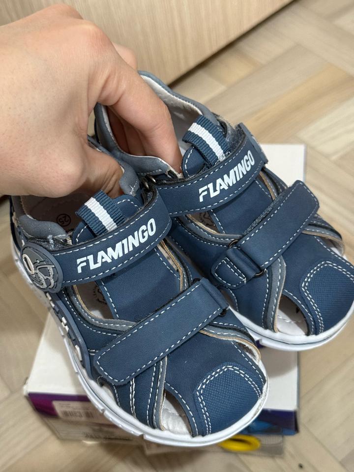 Flamingo