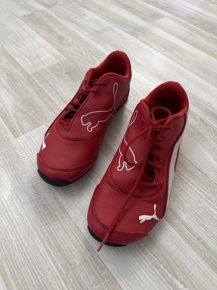 Puma