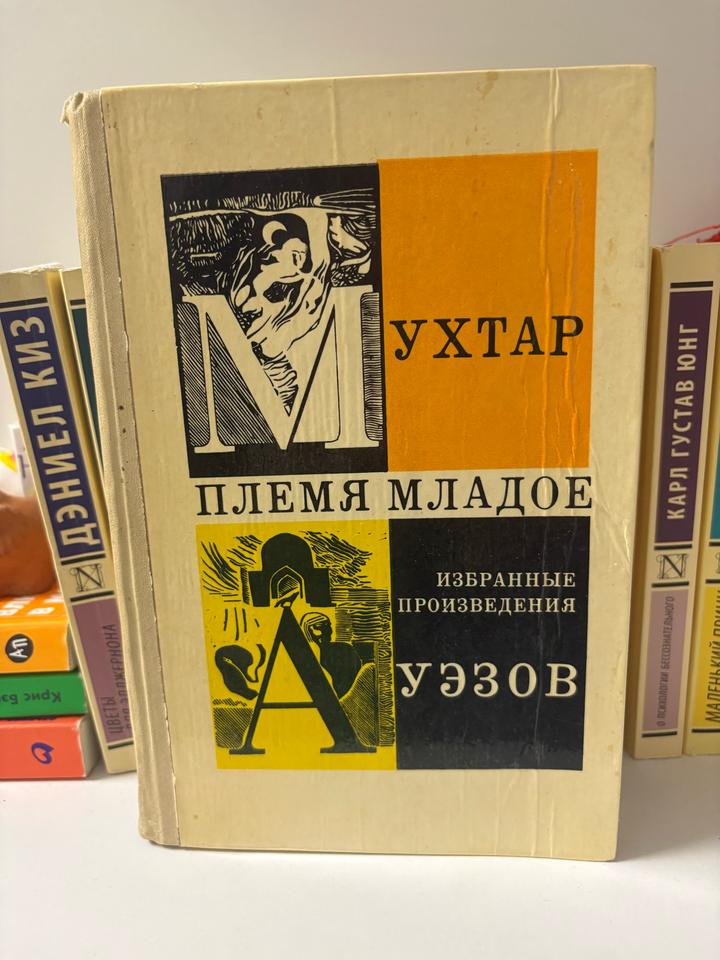 Книга Племя младое