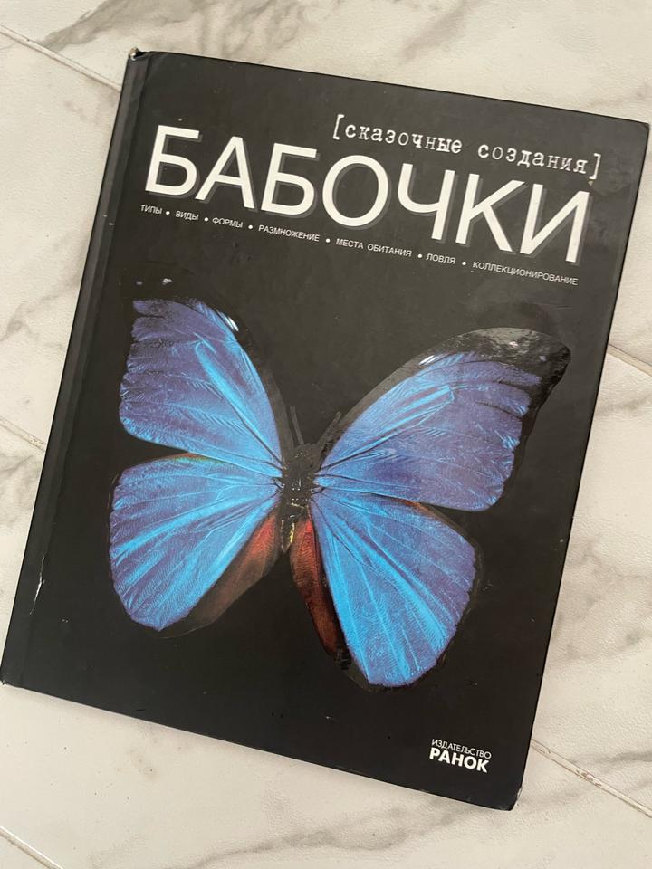 Бабочки