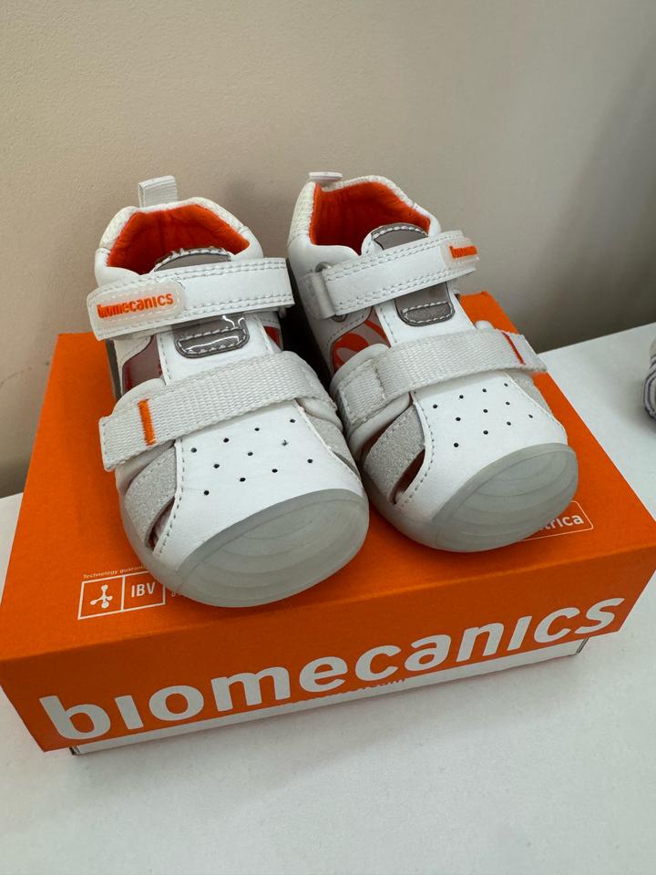 Biomecanics