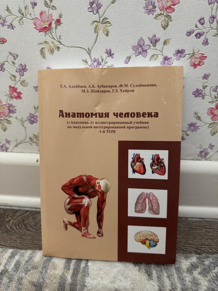 Анатомия человека