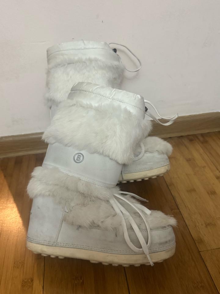 луноходы Bogner