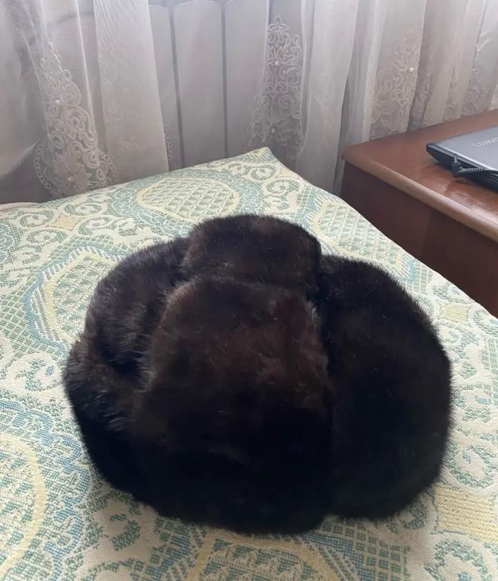 Нет бренда