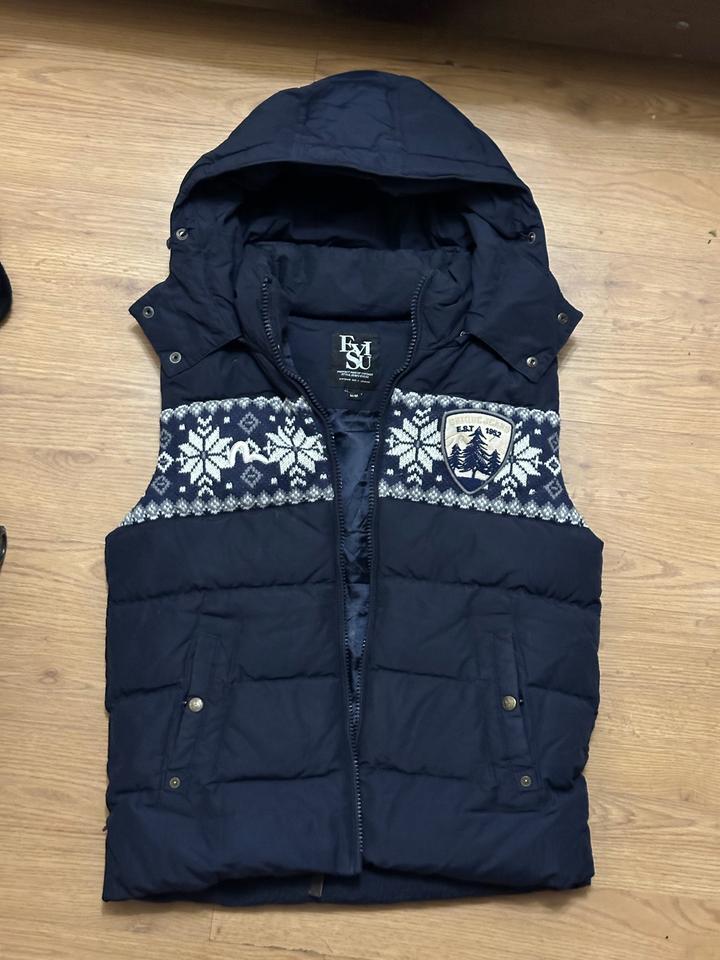 Evisu