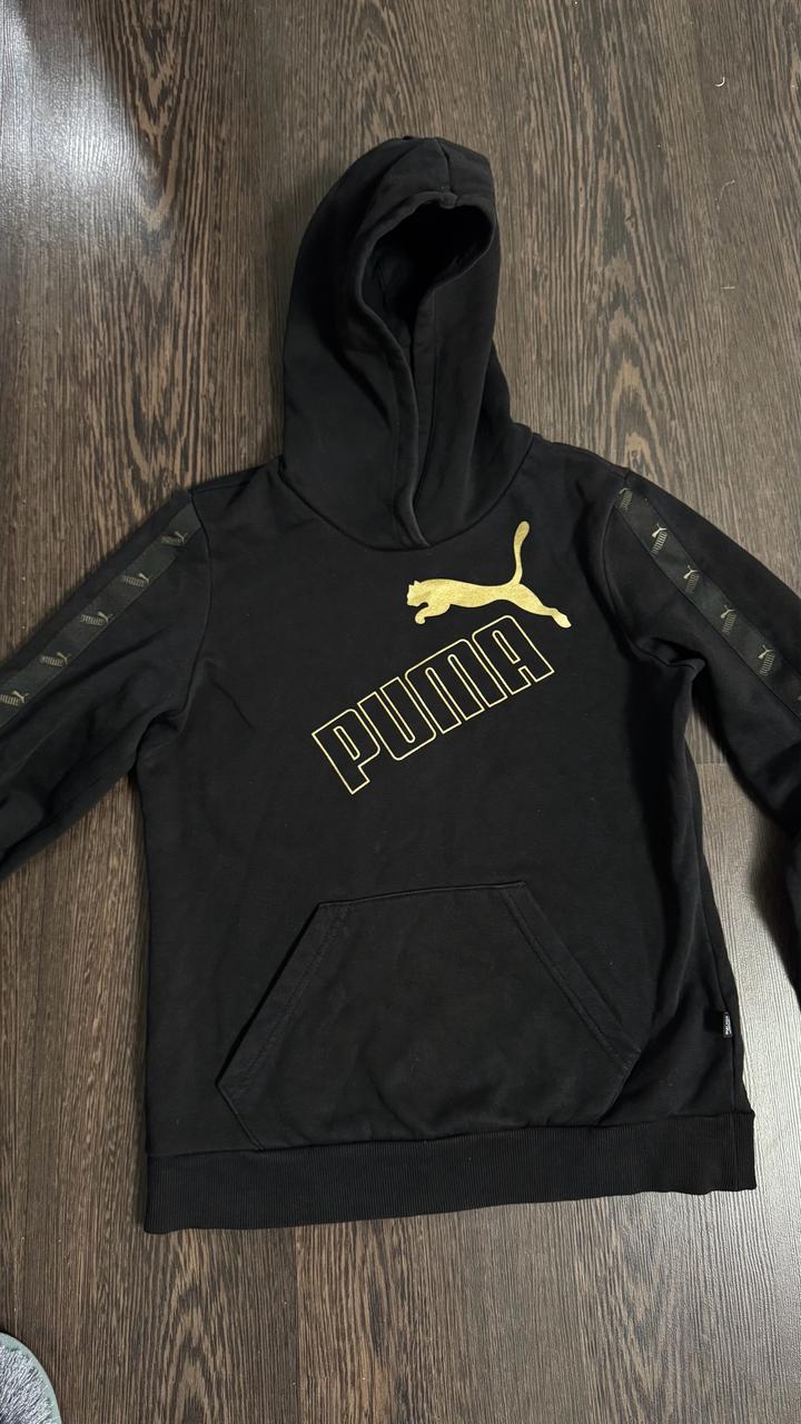 Puma