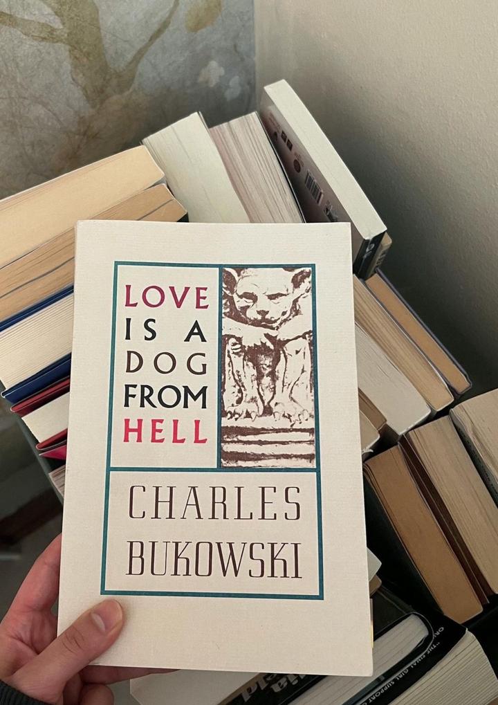 Love Is a Dog from Hell