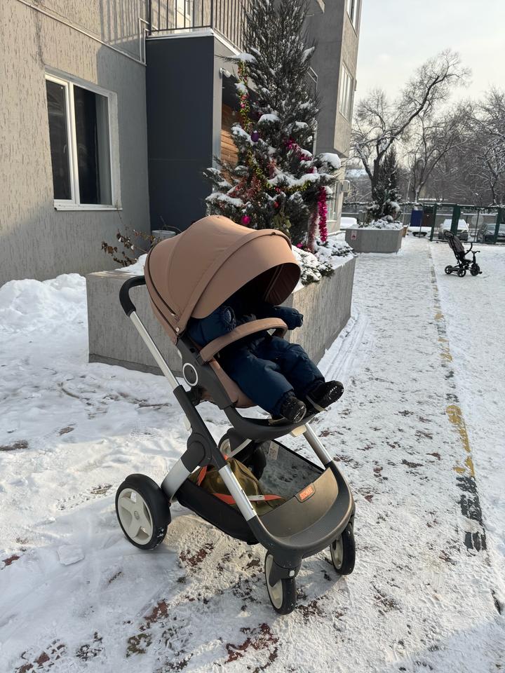 Stokke