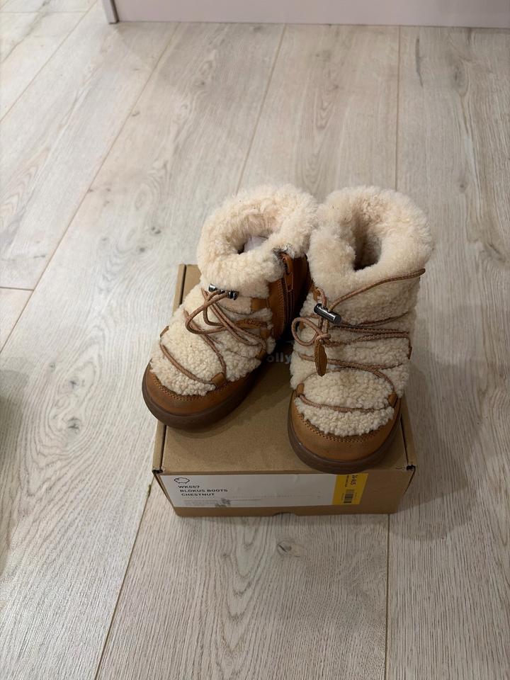 Woolly kids