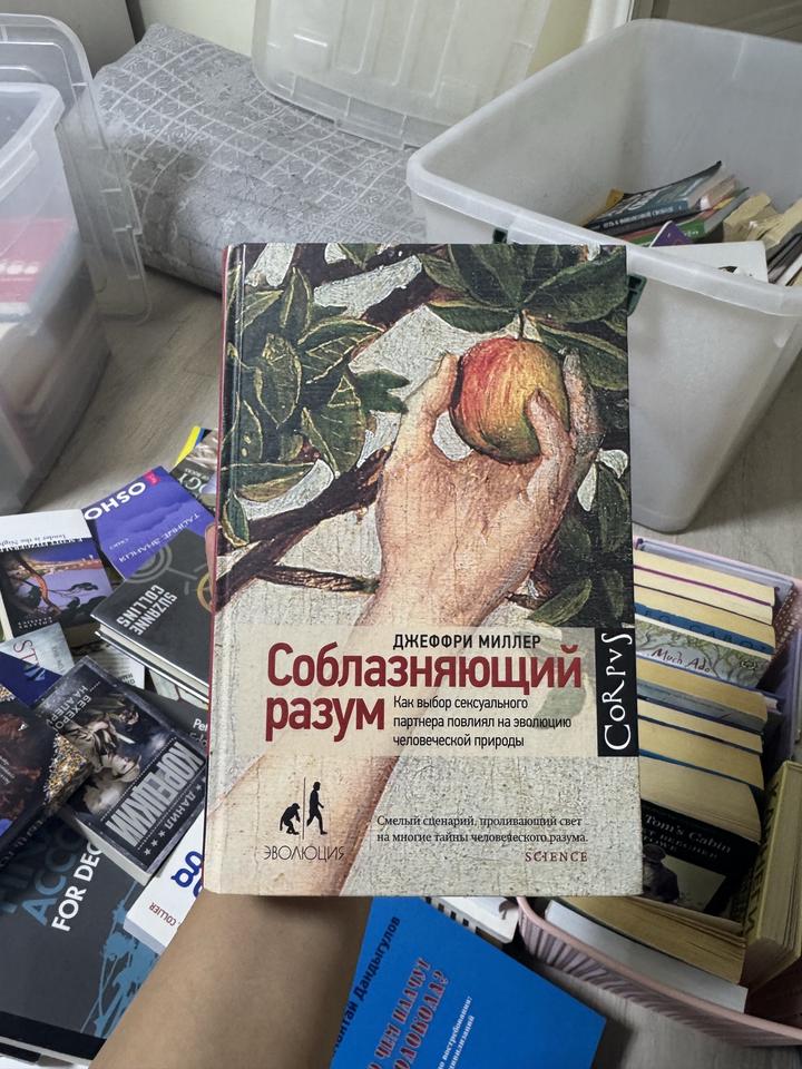 Книга