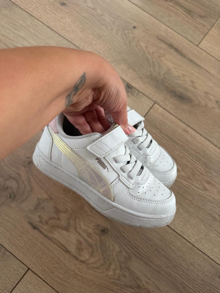 Puma