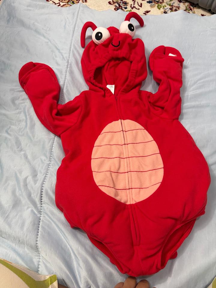 Carter's Костюм краба