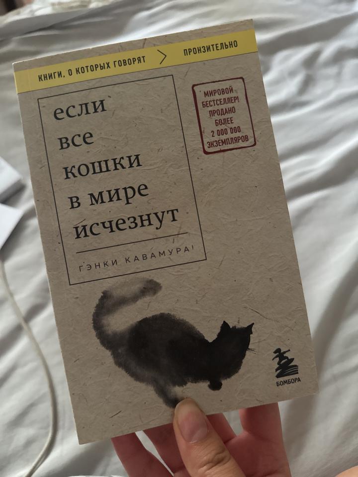 Если все кошки в мире исчезнут